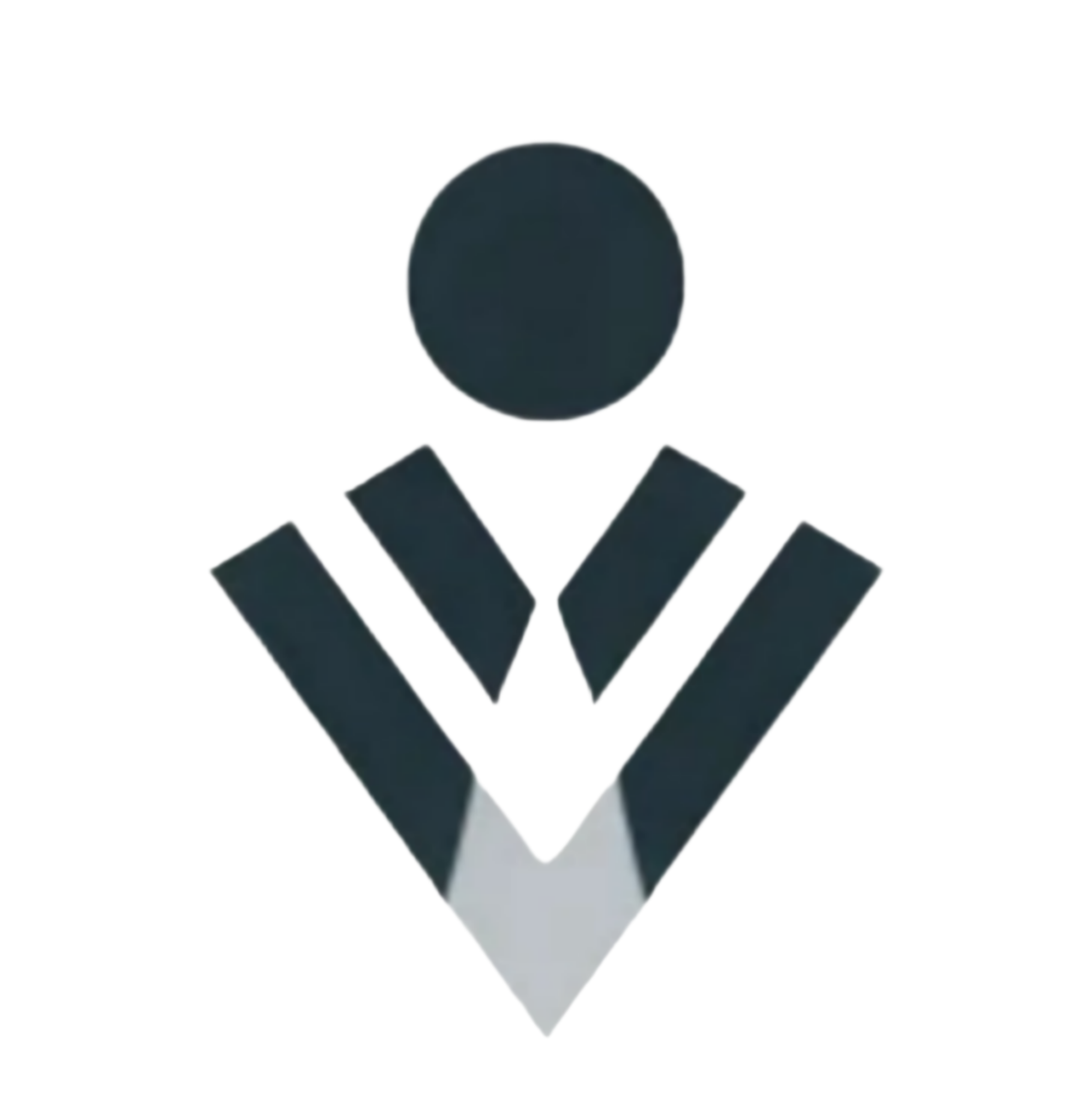 Mr.Fin Logo